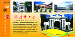 清华大学