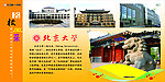 北京大学
