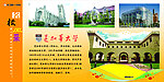 芝加哥大学