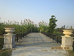 田园风光