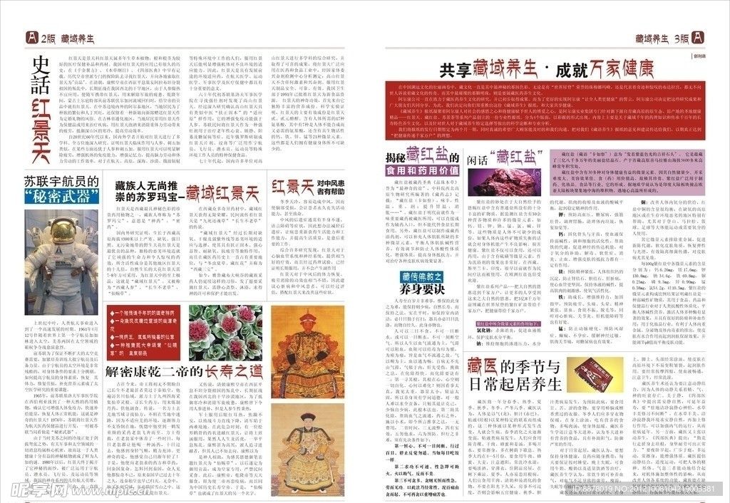 藏域养生报纸图片