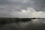 哈尔滨湿地风光