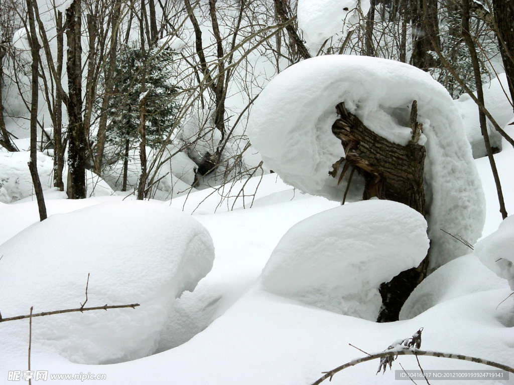 森林雪景
