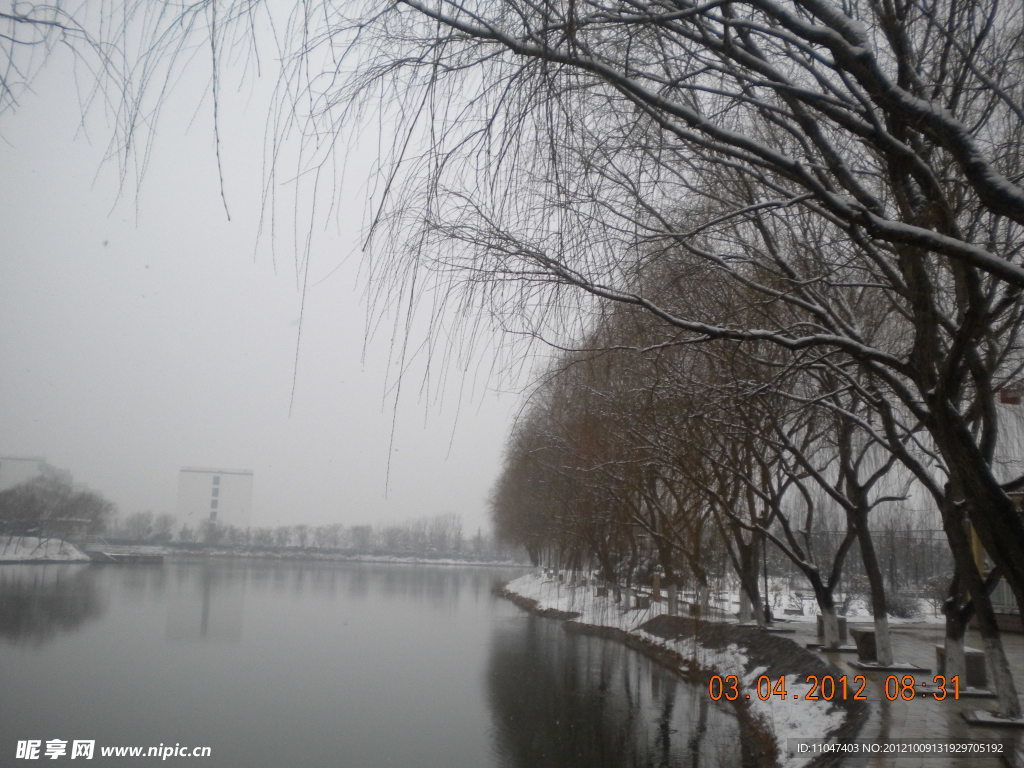 湖边柳岸雪景