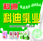 科迪