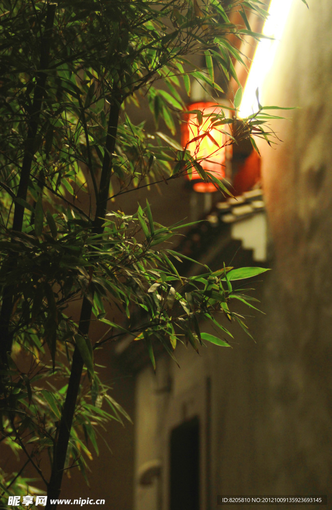 竹与灯笼