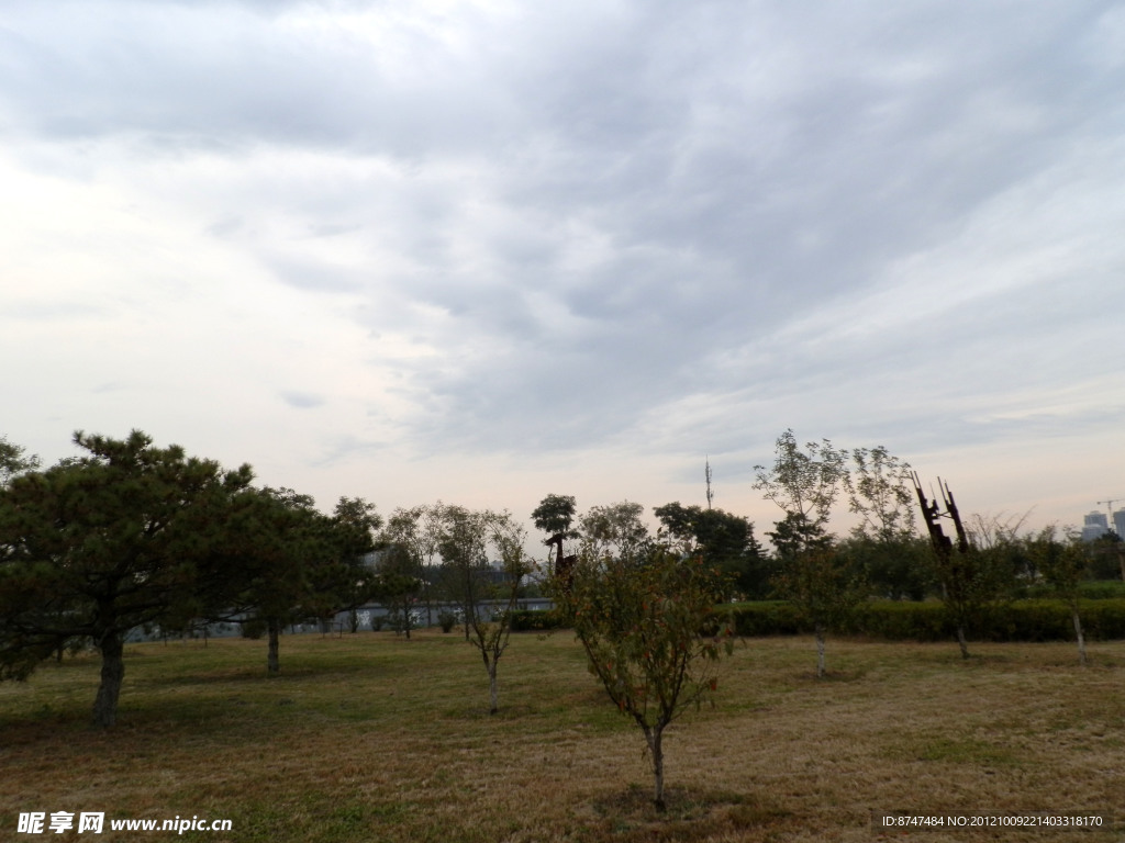 公园草地蓝天