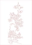鸟牡丹花
