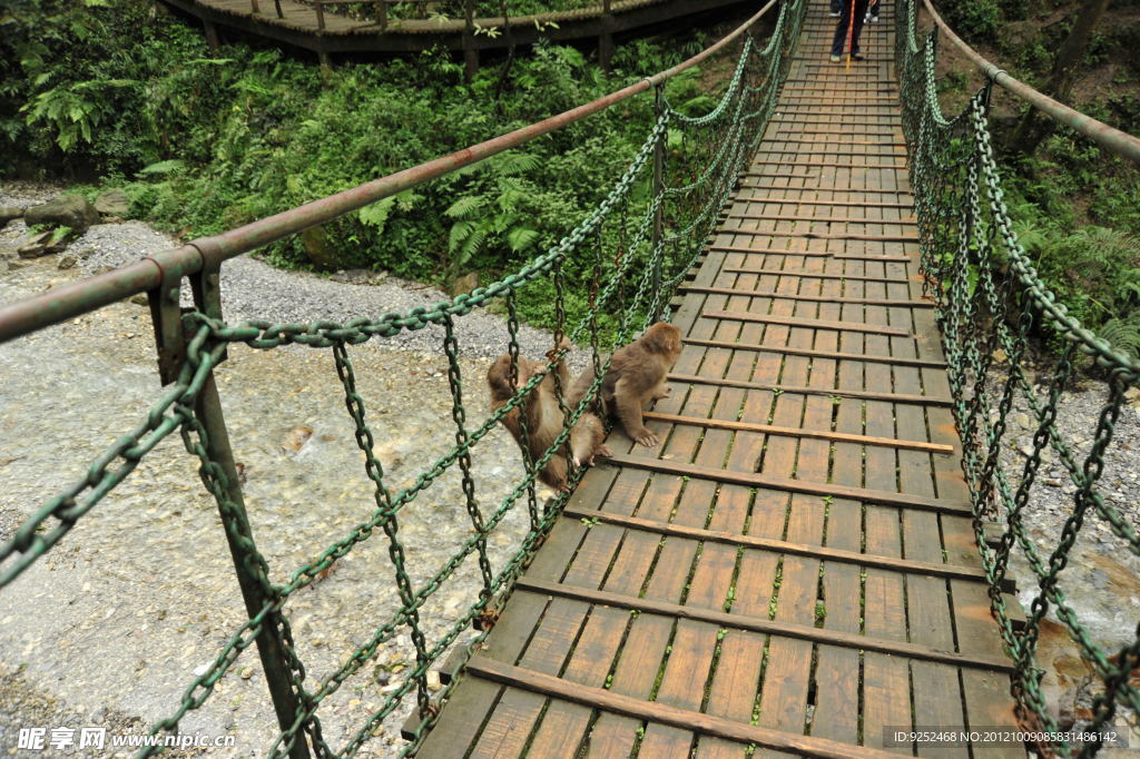 峨眉山风光