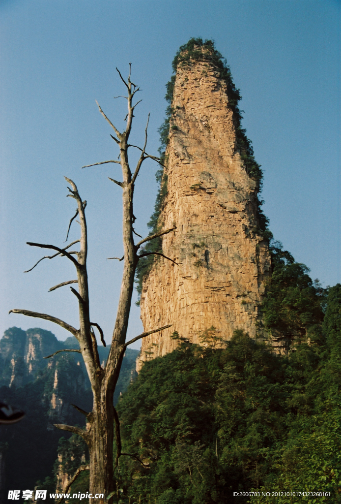 擎天柱