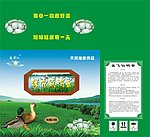 鑫飞仙