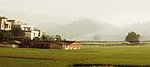 乡村风景
