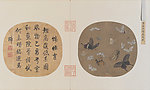 晴春蝶戏图页