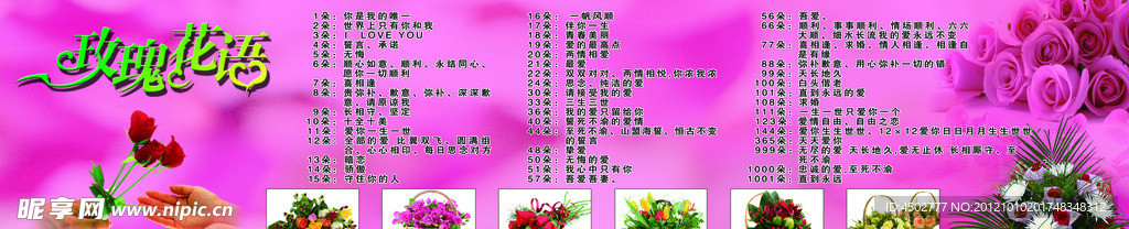 玫瑰花语