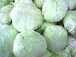 包菜(非高清)