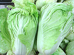 白菜(非高清)