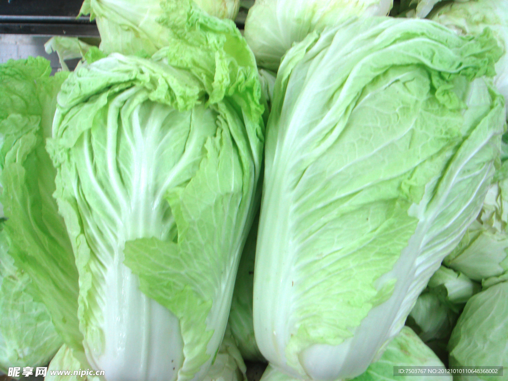 白菜(非高清)