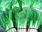 黑叶白(非高清)