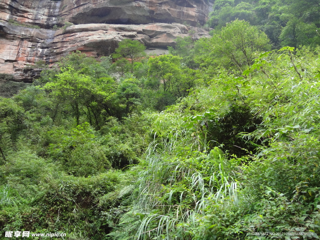 四面山风景