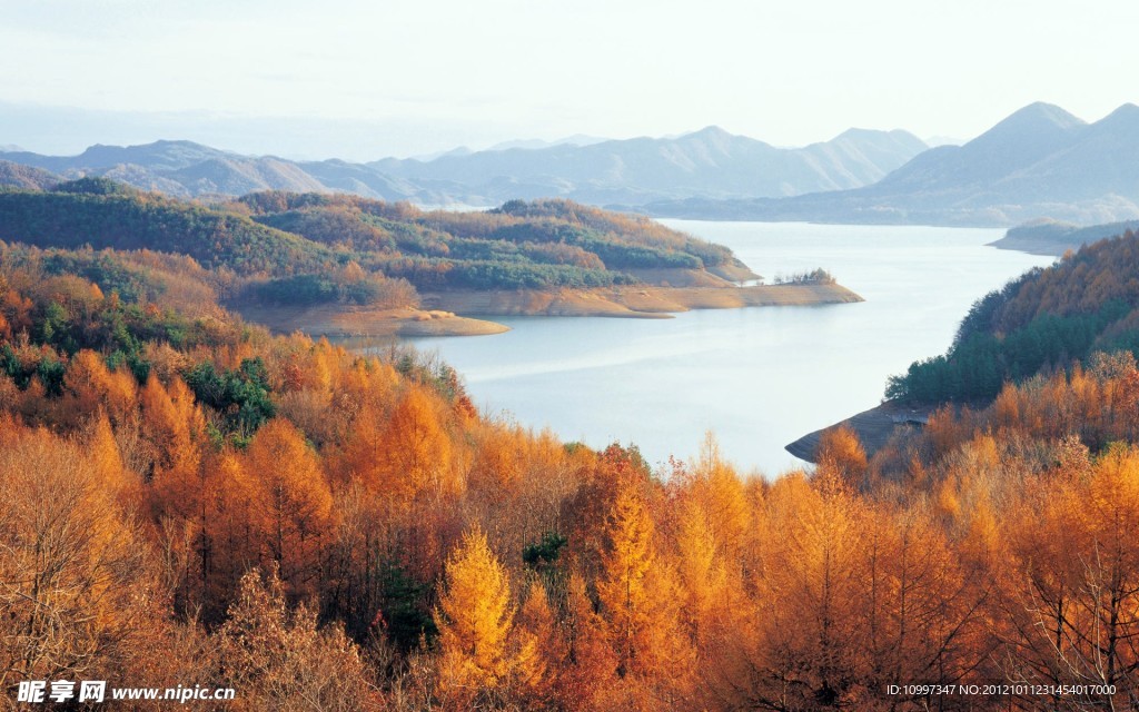 秋叶 山水