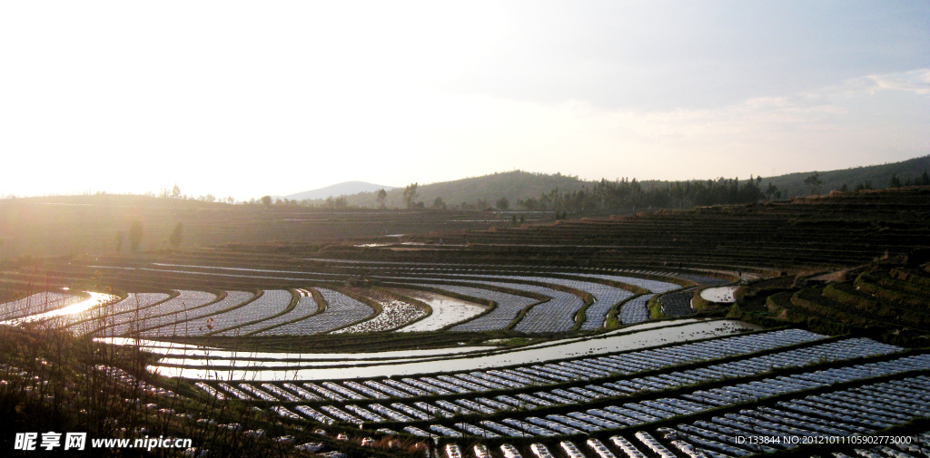 斜阳梯田