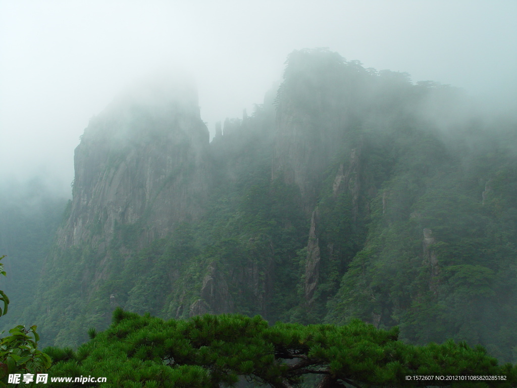 青山