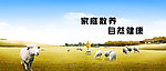 牧场 农场