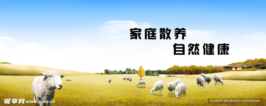 牧场 农场