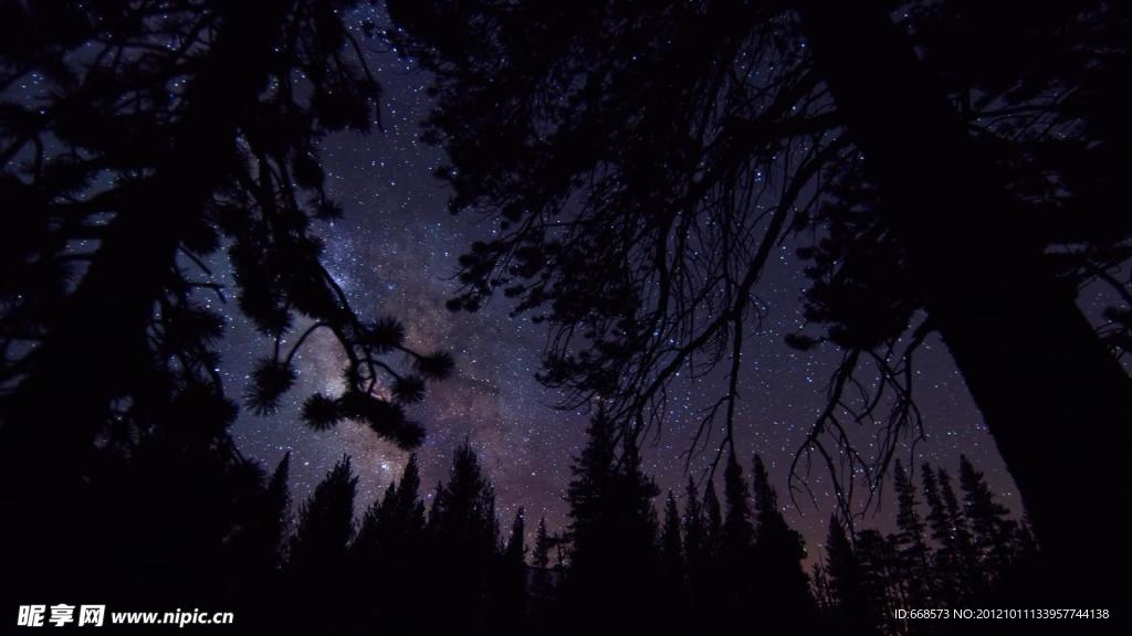 树林星空