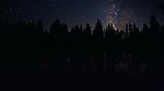 森林星空