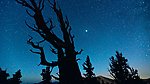 繁星