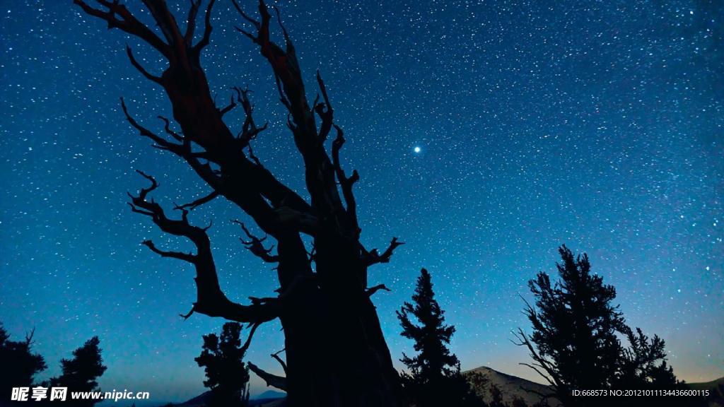 繁星