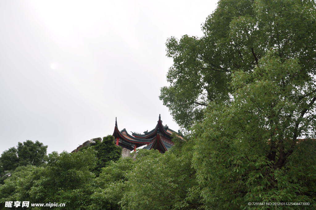 公园美景