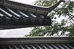 屋顶