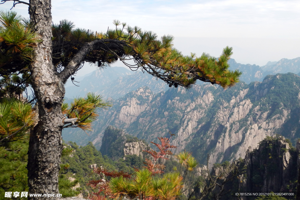 黄山