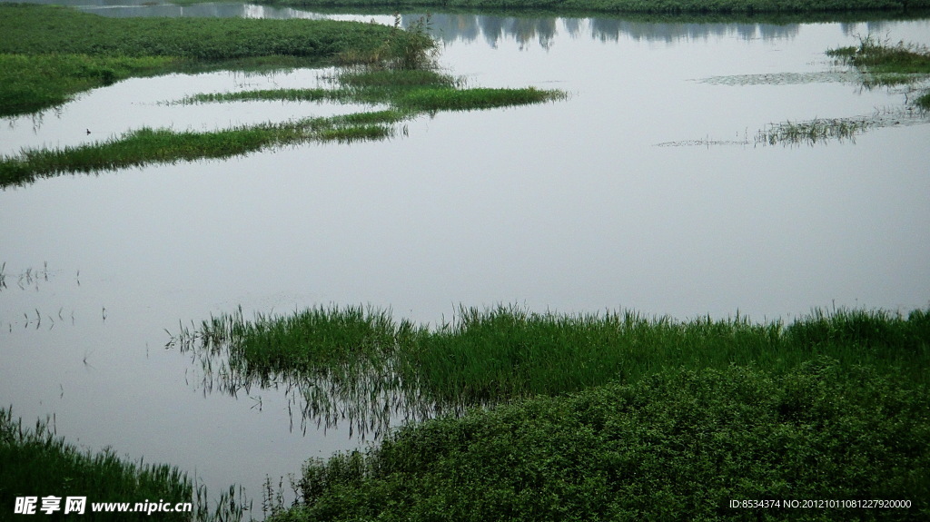 赵河水滨