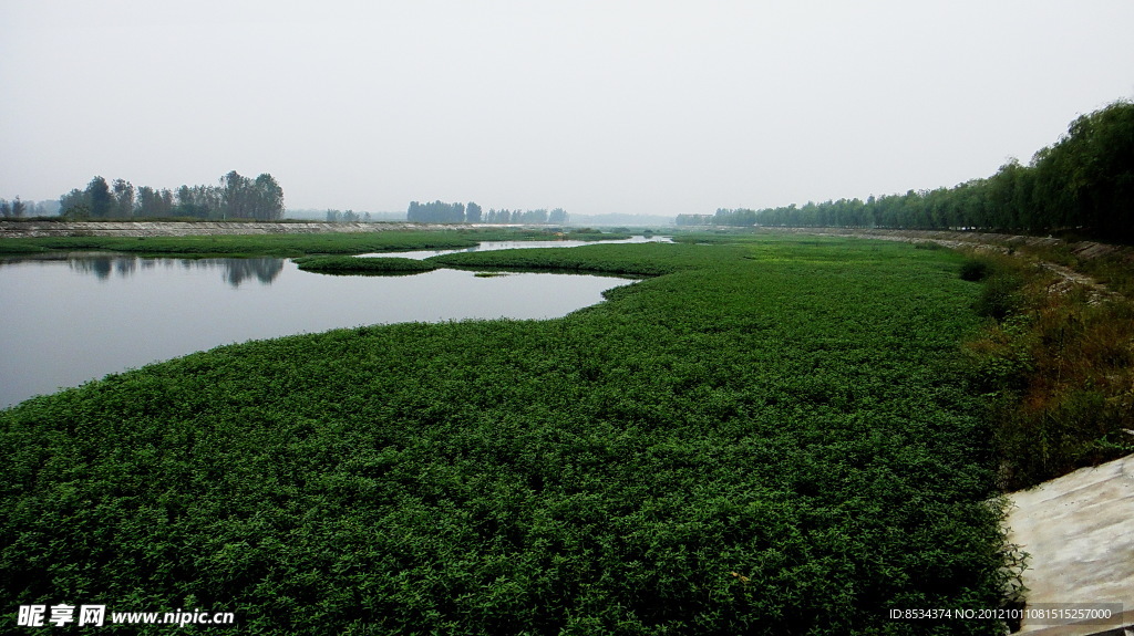 赵河水滨