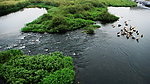 赵河水滨