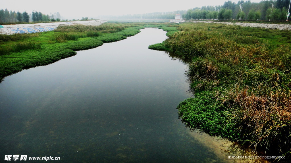 赵河水滨