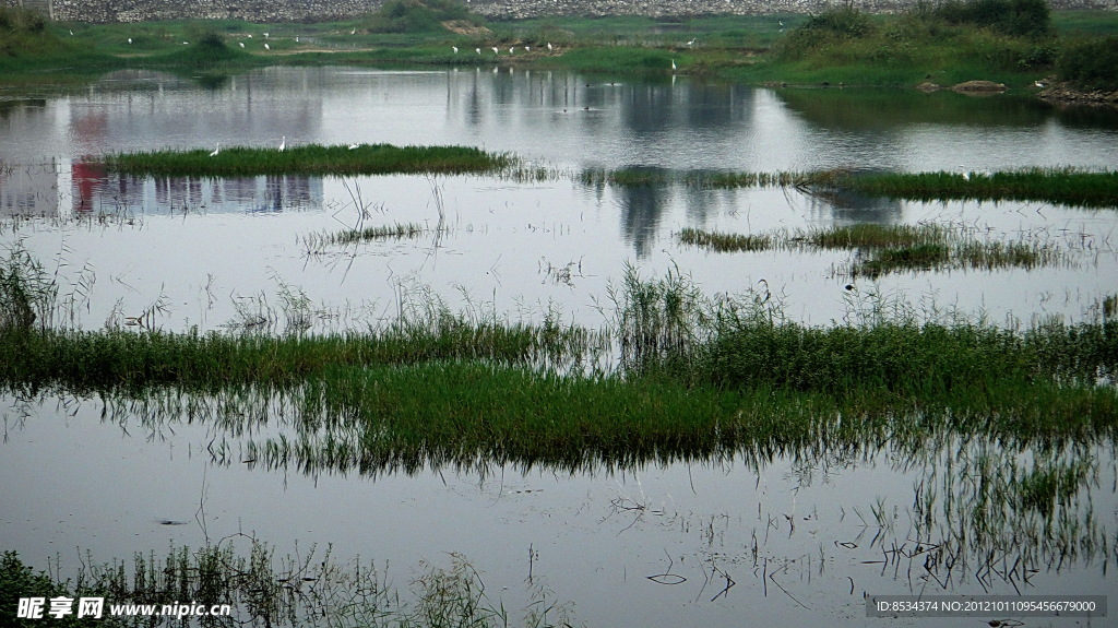 赵河水滨