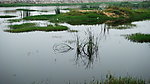 赵河水滨