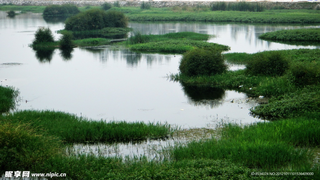 赵河水滨