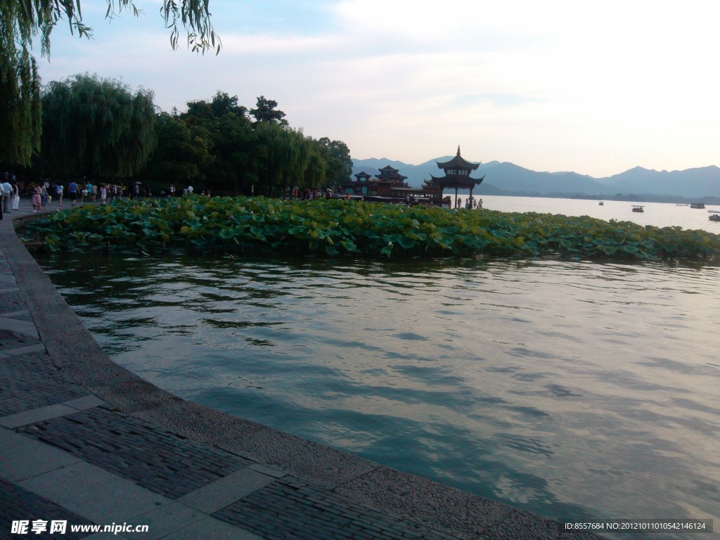 西湖景观