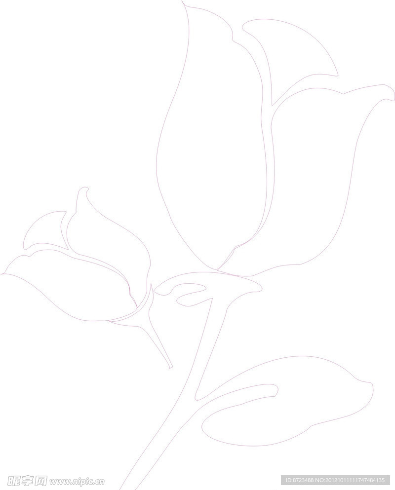 玫瑰花