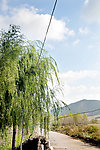 乡间小路