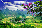 唯美风景