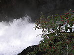 高山流水