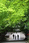 日本风光