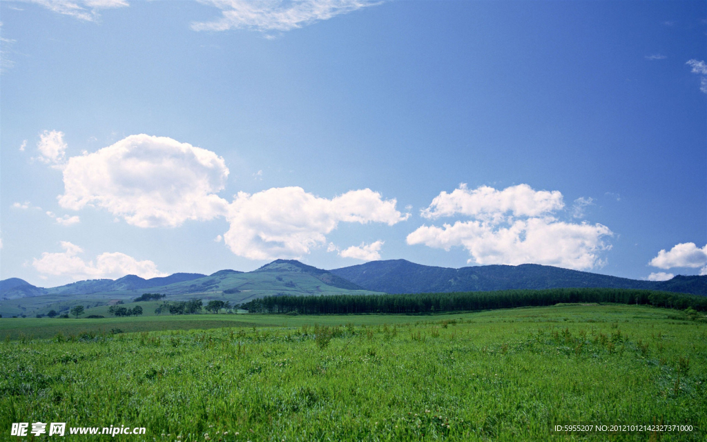 野外风景