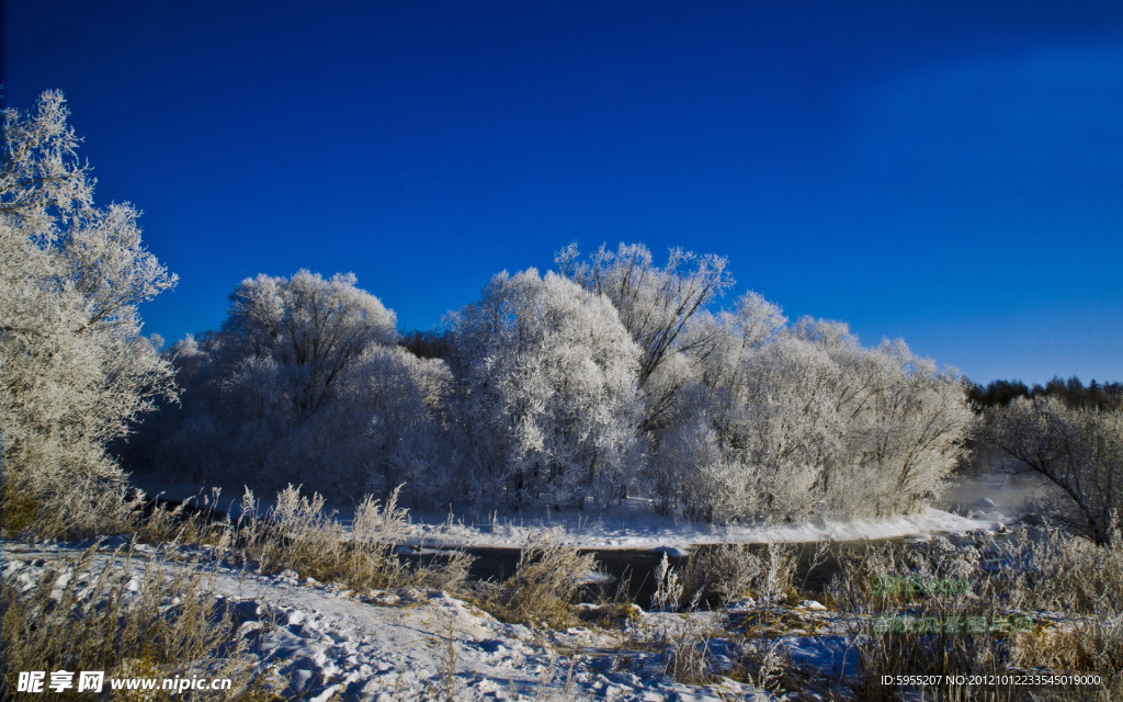 雪景